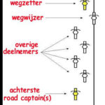 Groepsindeling