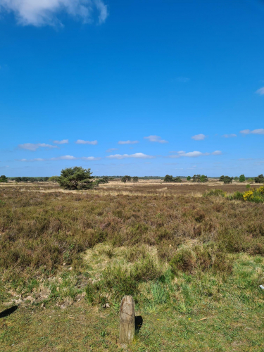 01549918-9e49-4cbe-a53d-c80c74bbcff9