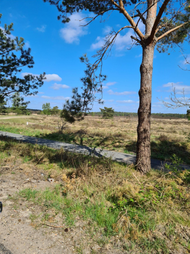 37a8028b-bd7d-43a2-b262-08a195fbe633