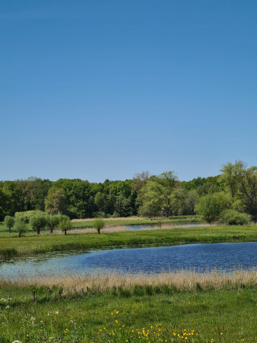 37e9b1a3-7c2c-4e0d-bec0-4f4d96bc9dcb