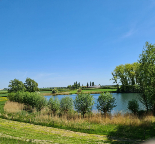 440e20ad-9243-41f4-bd8f-6ae58b38bb41