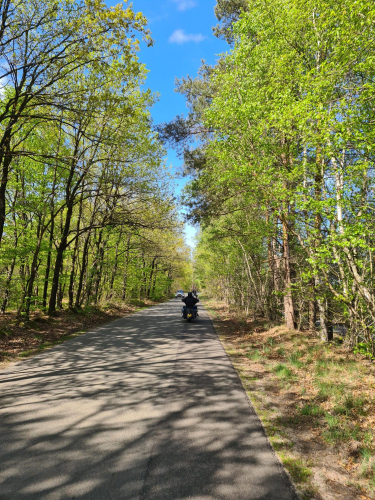 c0520be5-7913-476f-a54d-5536661c7041