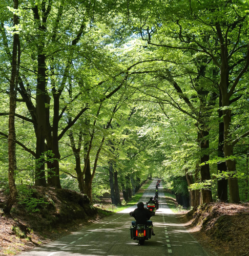 f8faa96e-33e0-490e-82c3-c09b5092f351