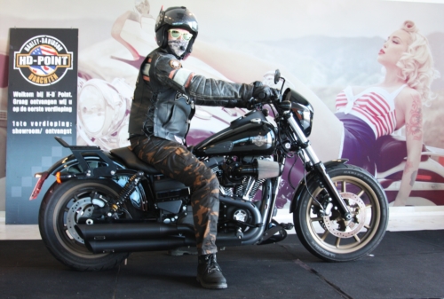 aaIMG_6120harley