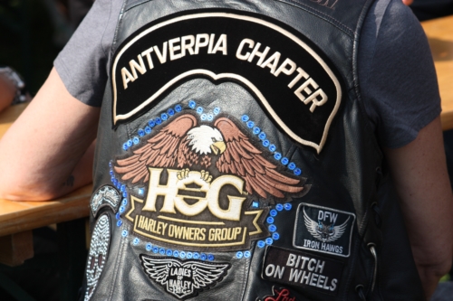 aaIMG_6498harley