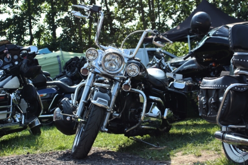 abIMG_6465harley