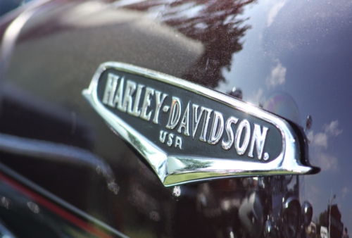 abIMG_6479harley